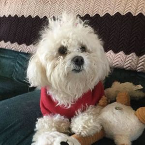 Meet your Posher, Kathleen